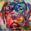 Bull Mastiff